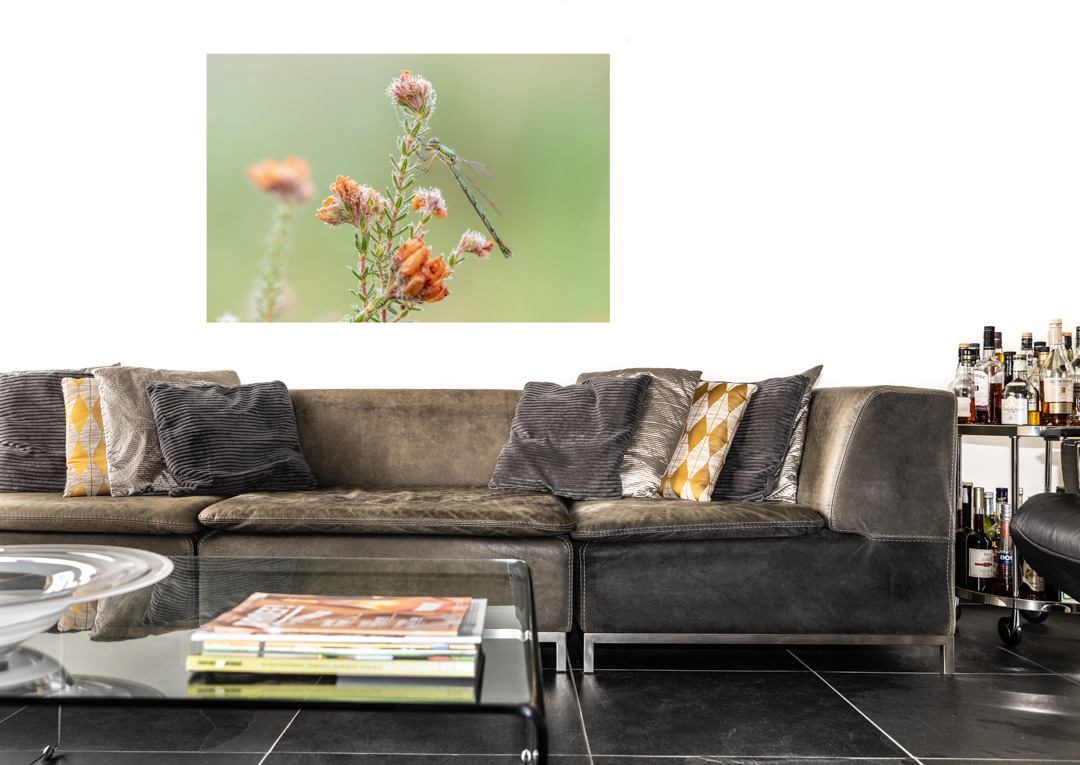 webshop-muurdecoratie-acryl-frame-doek-schilderij-travelmarks-photography-2